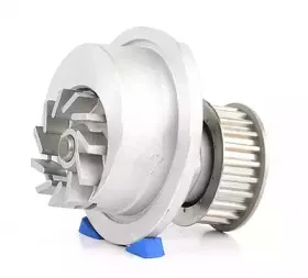 BSG 65-500-008 BSG Водяной насос